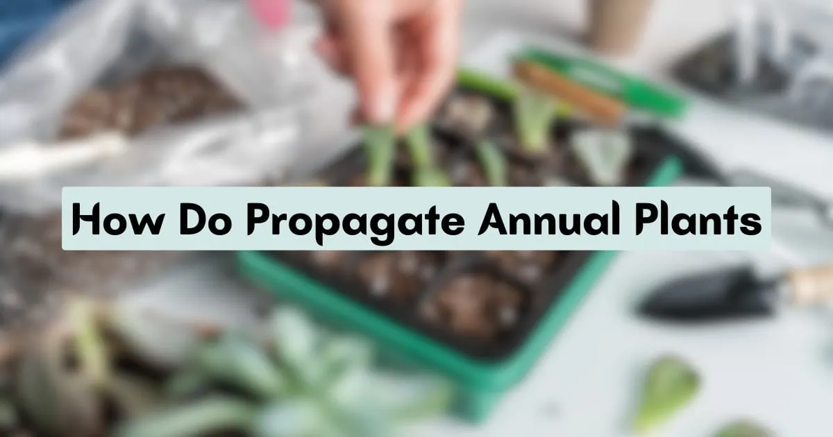 Master Propagation: Grow Annual Plants from Seeds & Cuttings