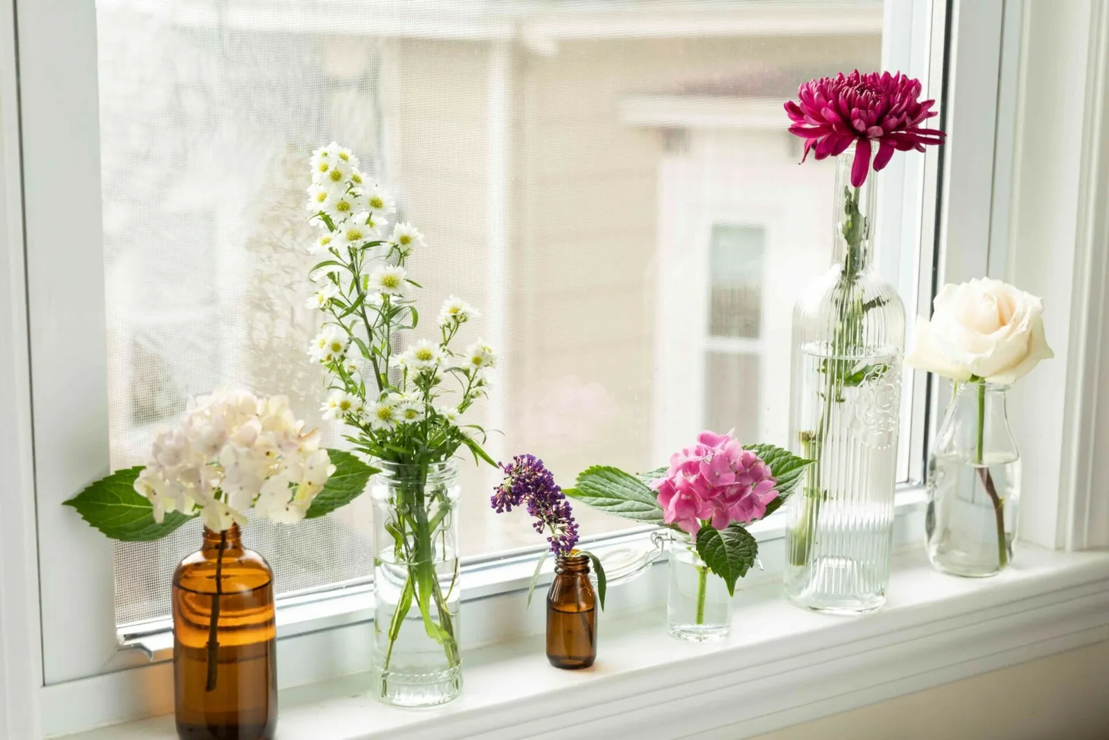 Can Grow Flowering Plants From Cuttings?
