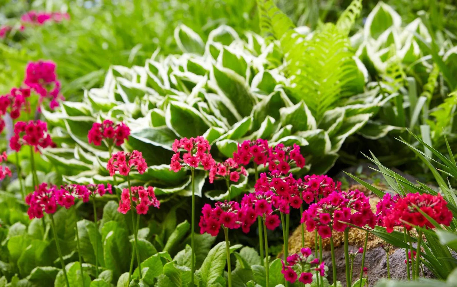 Cultivate a Greener Future with Sustainable Gardening Practices